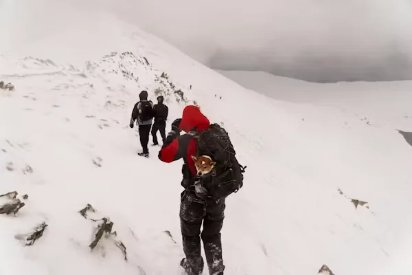 Trekkers walking through a snowy Himalayan landscape